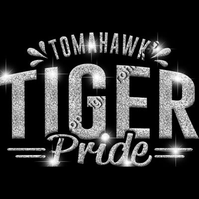 GLT62 SILVER GLITTER Thumbnail